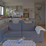 Moonfall House * Арку-да-Кальета
