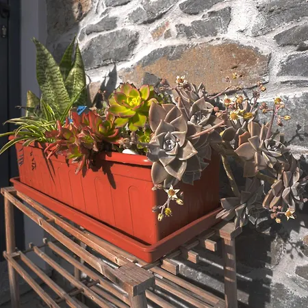 Nyaraló Moonfall House