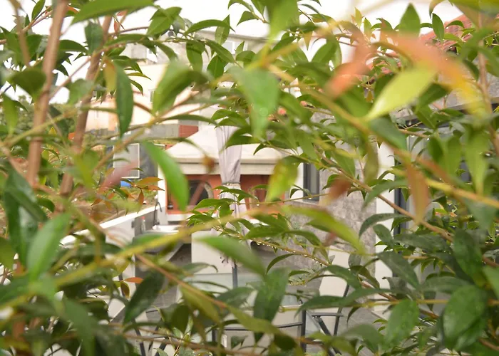 Moonfall בית נופש ארקו דה קלחטה