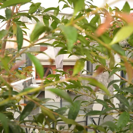 Moonfall Vakantiehuis Arco da Calheta (Madeira)